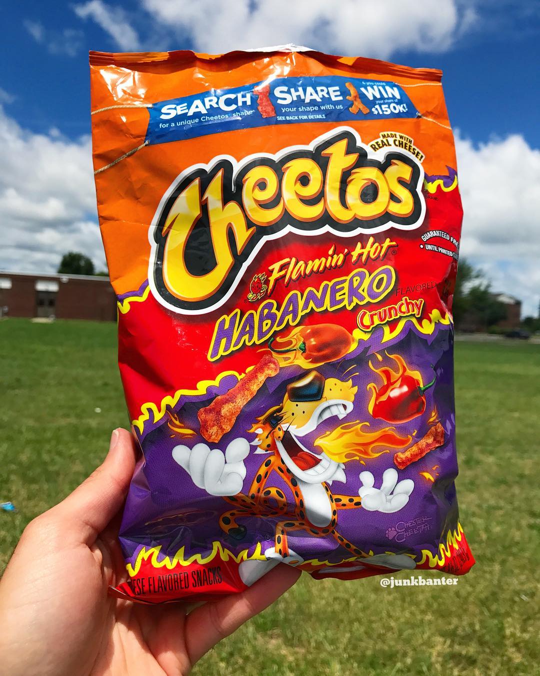 Review Cheetos Flamin Hot Habanero Junk Banter